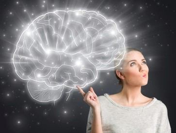 Descubren proteína clave que regula el envejecimiento cerebral y la pérdida de memoria