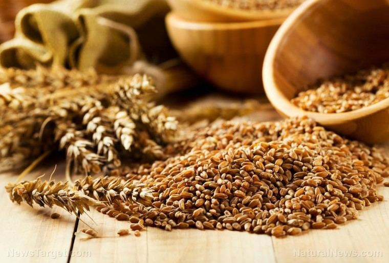 El resurgimiento de los granos germinados: una opción nutritiva y digestiva