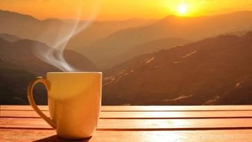 La luz natural matutina reduce la fatiga y mejora la alerta, según un estudio