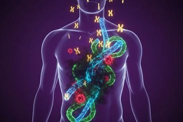 Estudio revela que la exposición a PFAS reduce la respuesta de anticuerpos tras la vacunación contra COVID-19