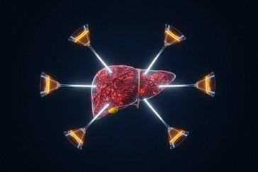 Binge Drinking Once a Month Triples Risk of Severe Liver Damage, Según Estudio