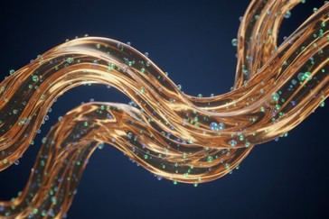 Suplementos de fibra soluble y probióticos mejoran la regularidad intestinal, según estudio