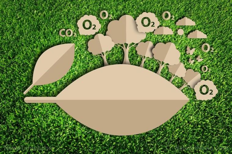 Suecia retrocede en sus metas climáticas, afectando el sueño verde de la UE