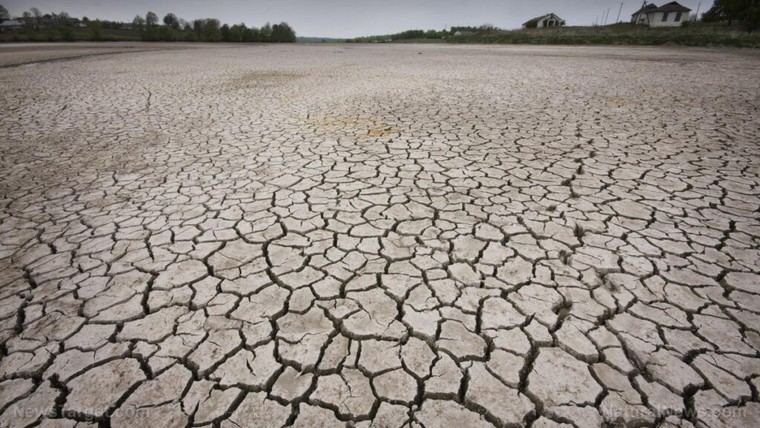 AI Data Centers in Texas Consume Water Amid Drought Restrictions for Residents