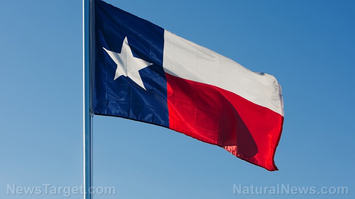 Texas inicia reforma regulatoria con la creación del Task Force DOGE para impulsar la eficiencia empresarial