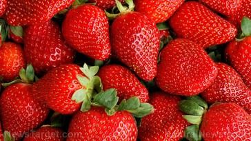 Fisetin: el compuesto de frutas que podría revolucionar la ciencia del envejecimiento