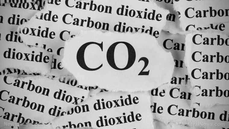 El CO2: recurso valioso en lugar de amenaza climática, según expertos