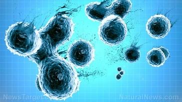 Toxinas pueden simular enfermedades infecciosas, según nueva investigación