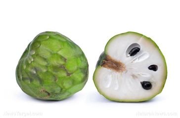 El renacer de la cherimoya: un superalimento lleno de nutrientes redescubierto