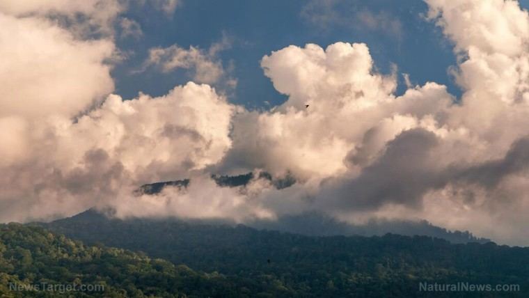 Pesticidas en las nubes: la lluvia se contamina globalmente