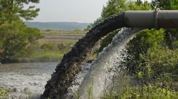 Fábricas de ganado eluden normas de contaminación del agua mediante maniobras legales