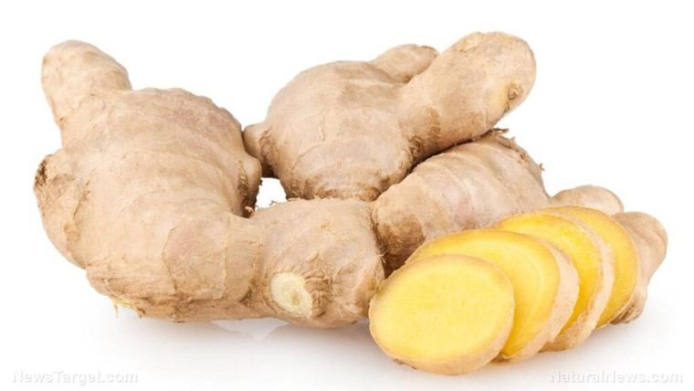 Ginger's Key Compound Boosts Immune Function