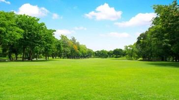 Honda lanza un cortacésped autónomo que podría reemplazar a los jardineros humanos