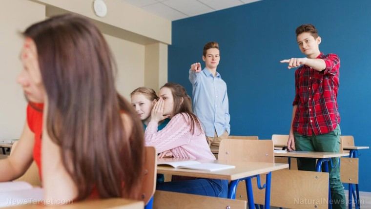 Illinois exige pruebas de salud mental para todos los estudiantes, generando controversia