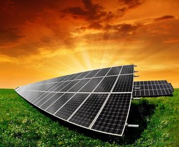 La energía solar oculta un problema tóxico: residuos de metales pesados amenazan la agricultura
