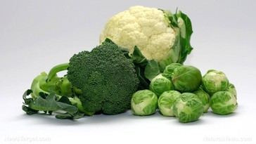 Doce verduras bajas en carbohidratos que potencian la absorción de fitonutrientes