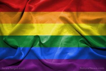 Crisis de financiamiento en Toronto Pride tras retiro de patrocinadores por controversias