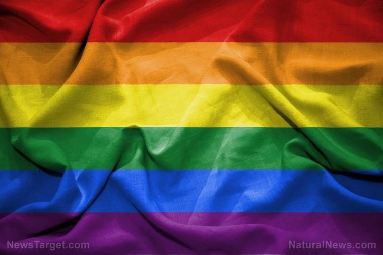 Crisis de financiamiento en Toronto Pride tras retiro de patrocinadores por controversias