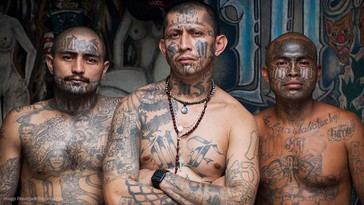 Trump ignora orden judicial y deporta a miembros de pandillas venezolanas, desata crisis constitucional