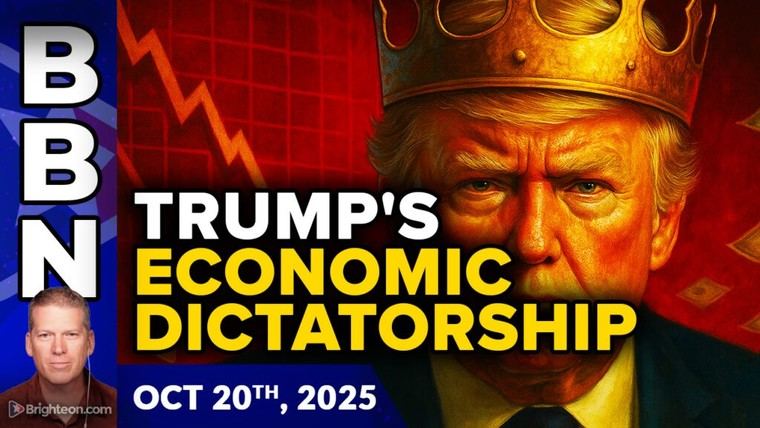 Trump establece precios mínimos para minerales raros, generando inquietudes económicas