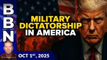 Trump's Gaza Peace Efforts Fail Amid Rising Violence and Domestic Strain