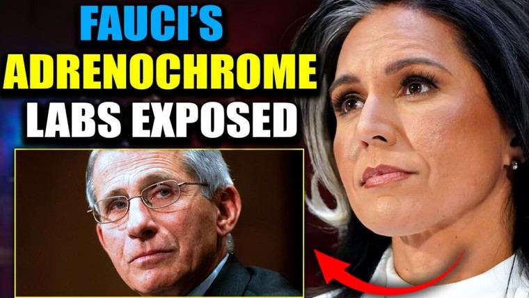 Tulsi Gabbard Revela Biolabs en Ucrania como Fábricas de Adrenocromo