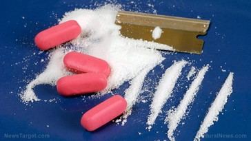 Coast Guard intercepts historic 76,000 pounds of drugs at Port Everglades