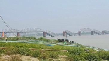 Puente colapsa en Myanmar tras terremoto de magnitud 7.7