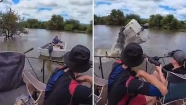 Hipopótamo voltea bote y lanza a ocupante al agua en Sudáfrica