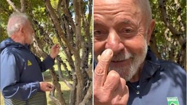 Lula ofrece jabuticaba a Trump para suavizar tensiones comerciales
