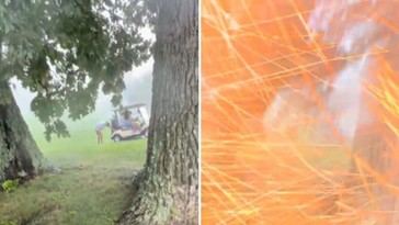 Golfista golpeado por rayo mientras se ríe de sus amigos