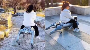 Robots en China transportan personas y perros con facilidad