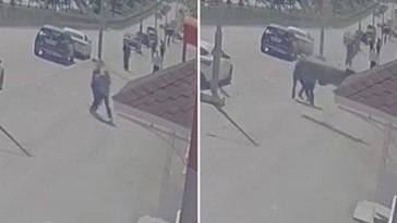 Casi son alcanzados por un gran trozo de tejado en un impactante video