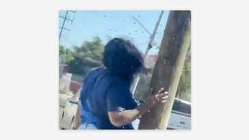 Mujer recibe más de 200 picaduras de abejas en Culiacán y necesita rescate del Ejército