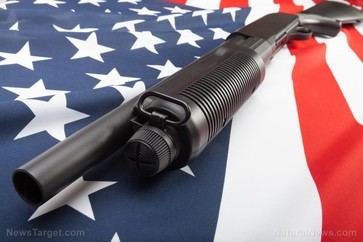 Virginia police refute gun confiscation claims amid new legislation debate