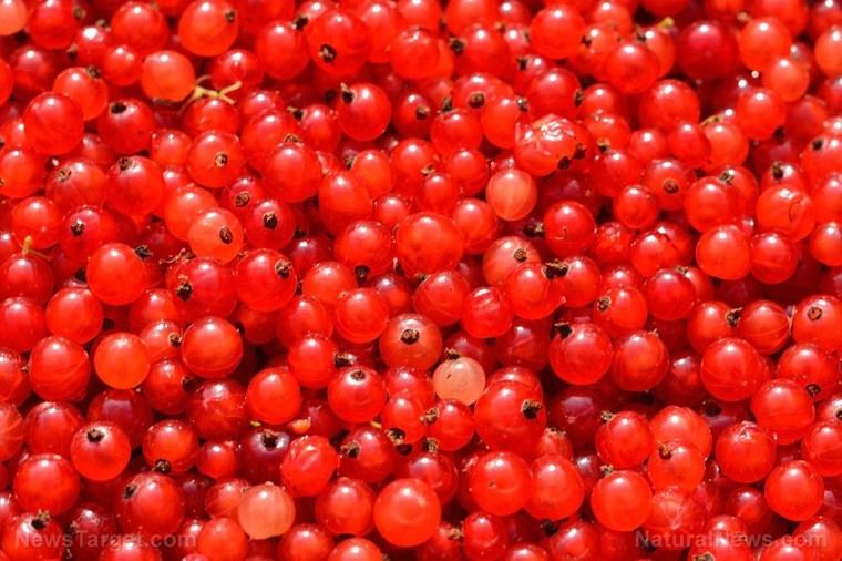 Antioxidantes: la defensa clave contra el cáncer y los radicales libres