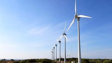 Impacto ambiental de los parques eólicos: biodiversidad y suelo en peligro