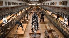 Mujer arrestada por robo de 1.5 millones de euros en oro en museo de París