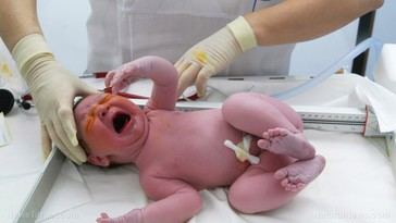 Fertilidad global alcanza su nivel más bajo en 60 años, generando preocupación económica y social