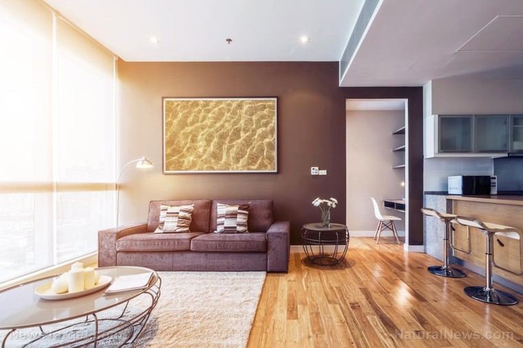 Mold en sistemas de HVAC: cómo prevenir su proliferación