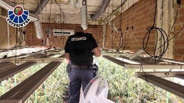 Detienen a dos hombres por cultivar marihuana en Zalla